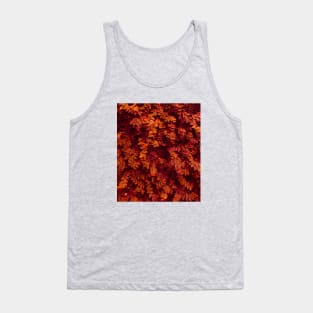 Autumn red and orange leaves - Abstract photography Tank Top